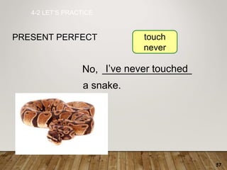 57
________________
4-2 LET’S PRACTICE
PRESENT PERFECT
I’ve never touched
touch
never
No,
a snake.
 