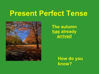 Present Perfect Tense
           The autumn
           has already
             arrived




             How do you
             know?
 