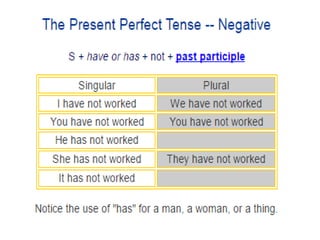 Present perfect tense - negative form