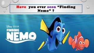 Have you ever seen “Finding
Nemo” ?
 