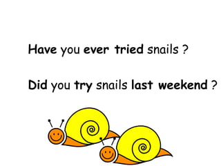 Have  you  ever tried  snails ? Did  you  try  snails  last weekend  ? 
