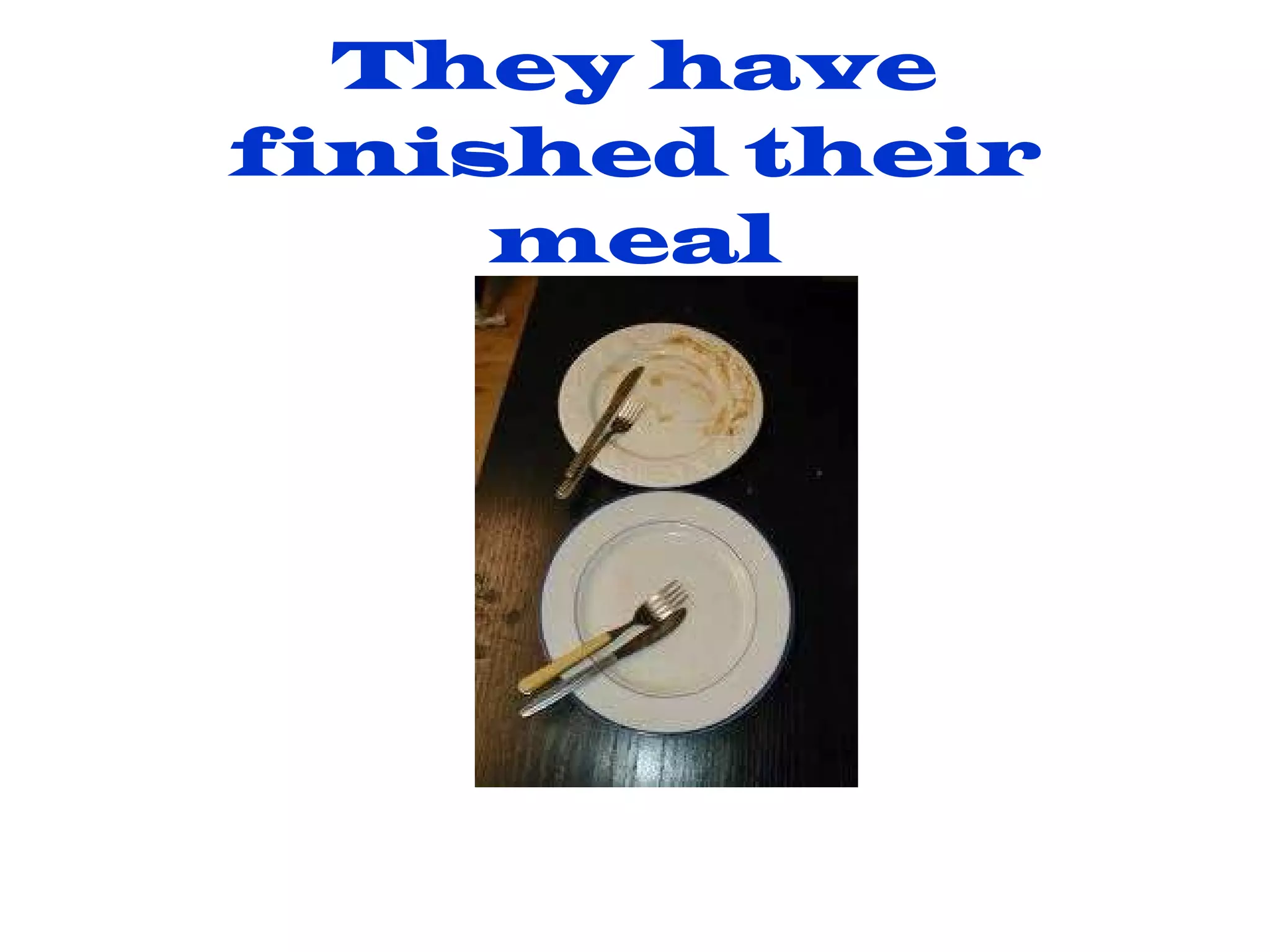 They have finished their meal