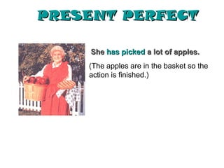 PRESENT PERFECT

    She has picked a lot of apples.
    (The apples are in the basket so the
    action is finished.)
 