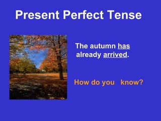 Present Perfect Tense The autumn  has  already  arrived . How do you  know? 