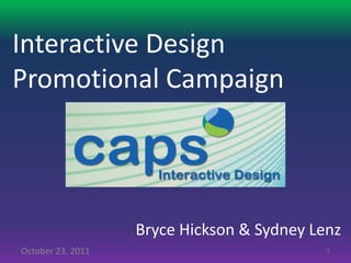 Interactive Design
Promotional Campaign




                   Bryce Hickson & Sydney Lenz
October 23, 2011                            1
 