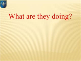 What are they doing?
 