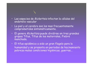 R
• Las especies de Rickettsia infectan la células del
  endotelio vascular
• La piel y el cerebro son los mas frecuentemente
  comprometidos sintomáticamente.
• El genero Rickettsia puede dividirse en tres grandes
  grupos Tifus, Tifus de los matorrales, Fiebre
  manchada.
• El tifus epidémico a sido un gran flagelo para la
  humanidad y se presenta en periodos de hacinamiento
  pobreza malas condiciones higiénicas, guerras...
 