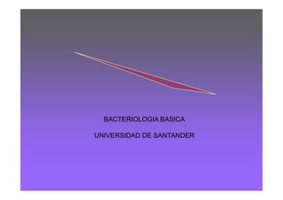 BACTERIOLOGIA BASICA

UNIVERSIDAD DE SANTANDER
 