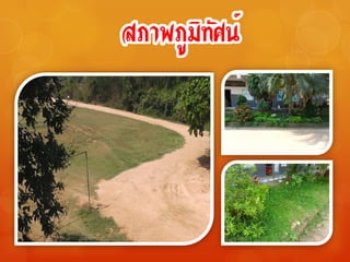 สรุปผลงานโรงเรียนบ้านดู่ (สหราษฎร์วิทยา) ปีการศึกษา 2554