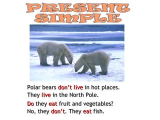 Polar bears  don’t live  in hot places. They  live  in the North Pole. Do  they  eat  fruit and vegetables? No, they  don’t . They  eat  fish. 