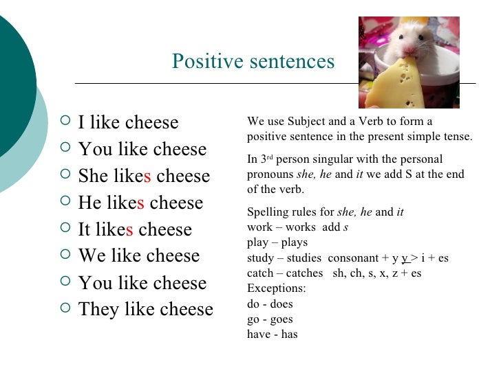 The Present Simple Tense The Present Simple Tense