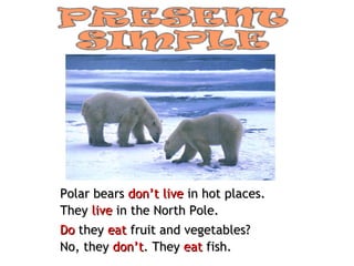 Polar bears don’t live in hot places.
They live in the North Pole.
Do they eat fruit and vegetables?
No, they don’t. They eat fish.
 