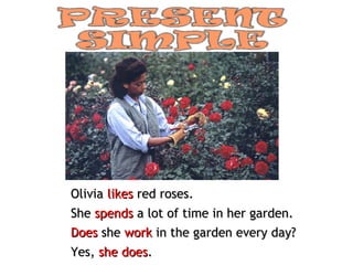 Olivia likes red roses.
She spends a lot of time in her garden.
Does she work in the garden every day?
Yes, she does.
 