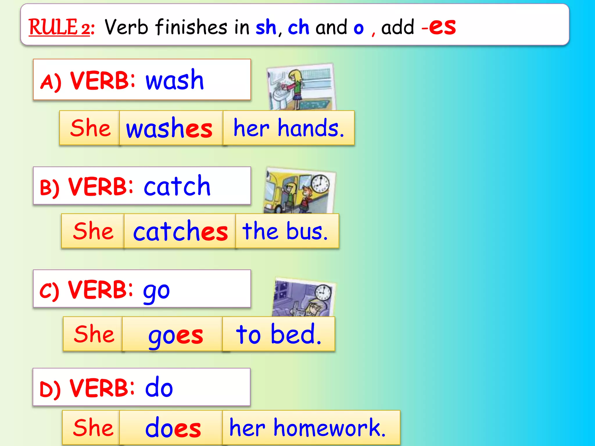 She catches the bus.
B) VERB: catch
RULE 2: Verb finishes in sh, ch and o , add -es
A) VERB: wash
She washes her hands.
C) VERB: go
She goes to bed.
D) VERB: do
She does her homework.