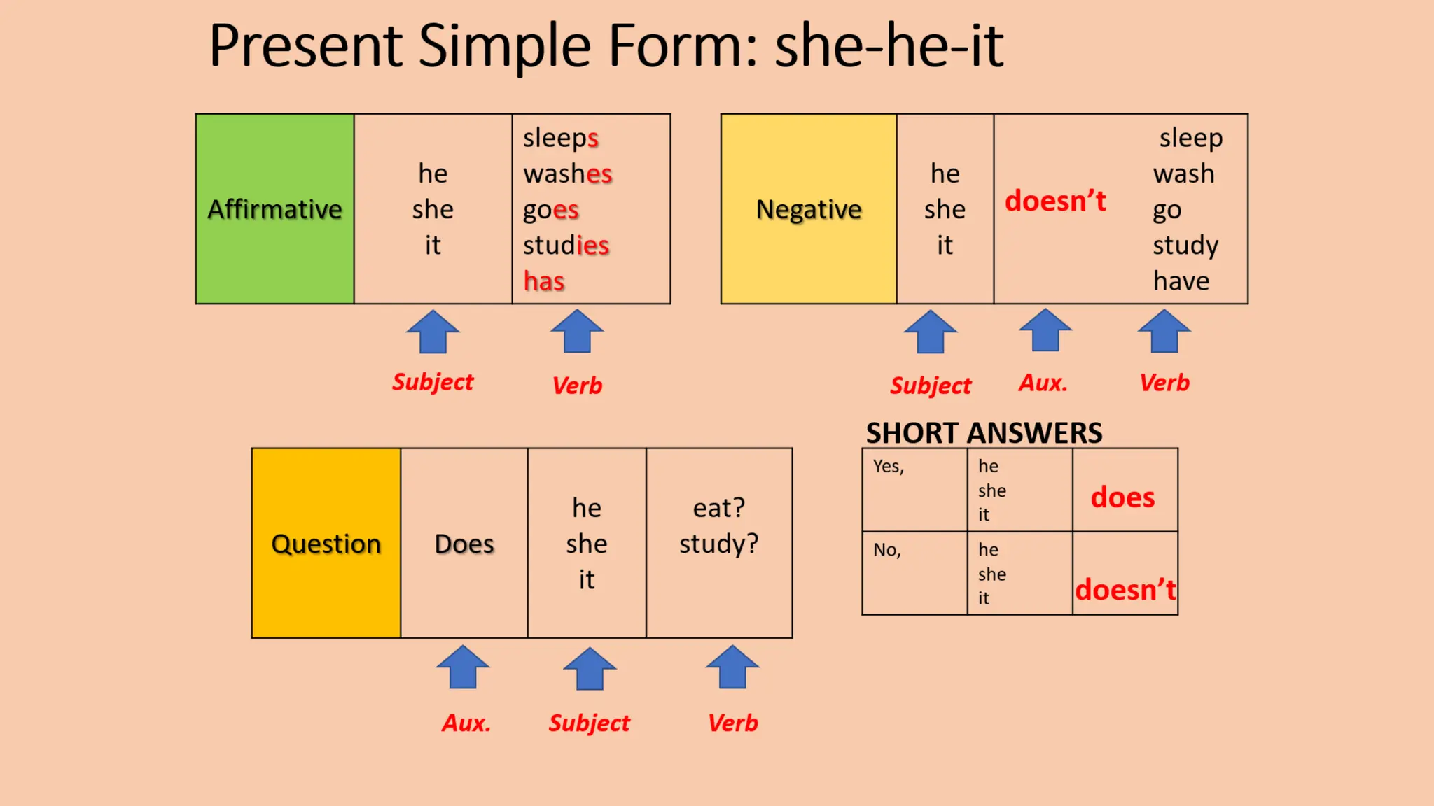 Present simplethird person singular.pptx