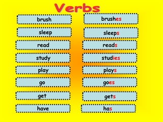 Verbsbrushesbrush sleep sleeps read reads study studies play playsgogoesget getshashave