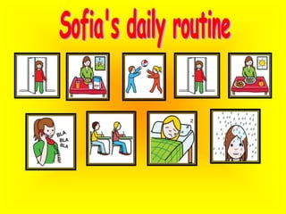 Sofia's daily routine