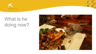  The tiger is hunting NOW.Let’s practice!BildeWolves can’t fly.James Wolf is flying in the picture.