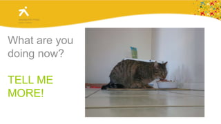 Let’s practice!BildeWolves don’t sit on the tables.James Wolf is sitting on the table in this picture.