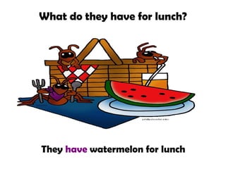 What do they have for lunch?

They have watermelon for lunch

 