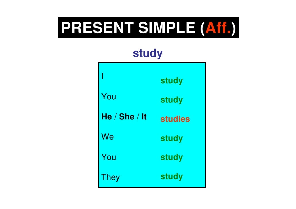 Past simple he she it. Глагол study в present simple. Study в презент Симпл. She study в present simple. To study в презент Симпл.