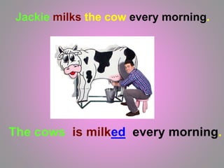 Jackie milks the cow every morning.
The cows is milked every morning.
 
