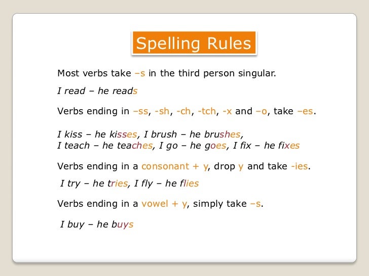 Present Simple Tense