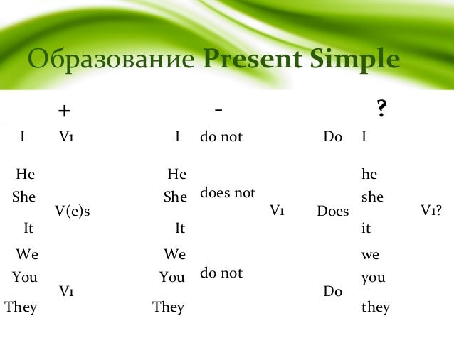 Present simple правила и примеры 6 класс Past Simple 0B8