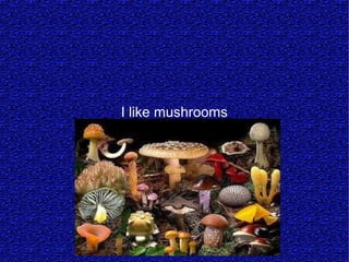I like mushrooms
 