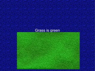 Grass is green
 