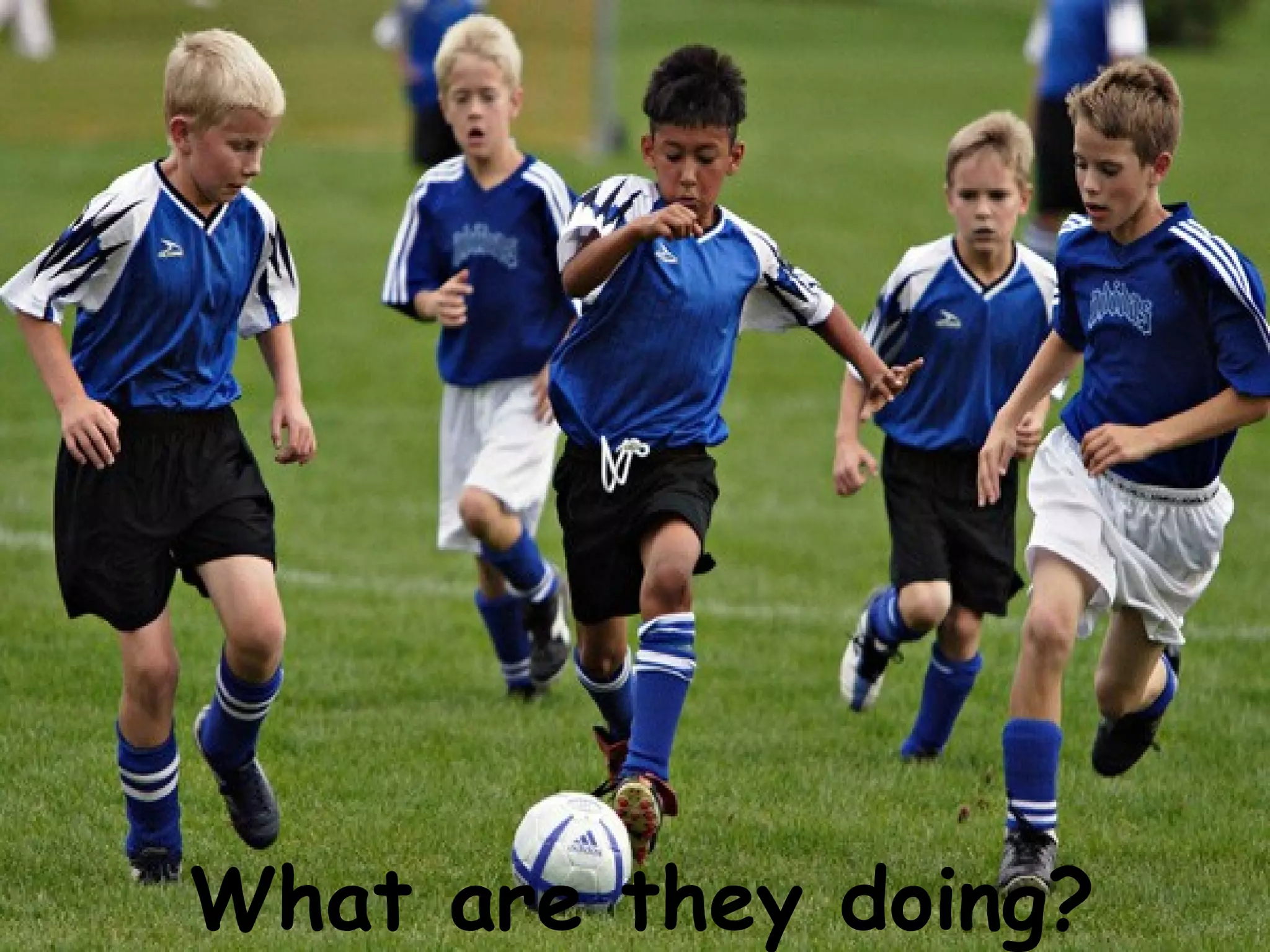 What are they doing?
 