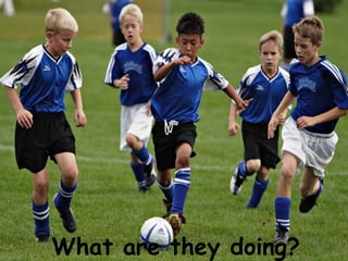 What are they doing?
 