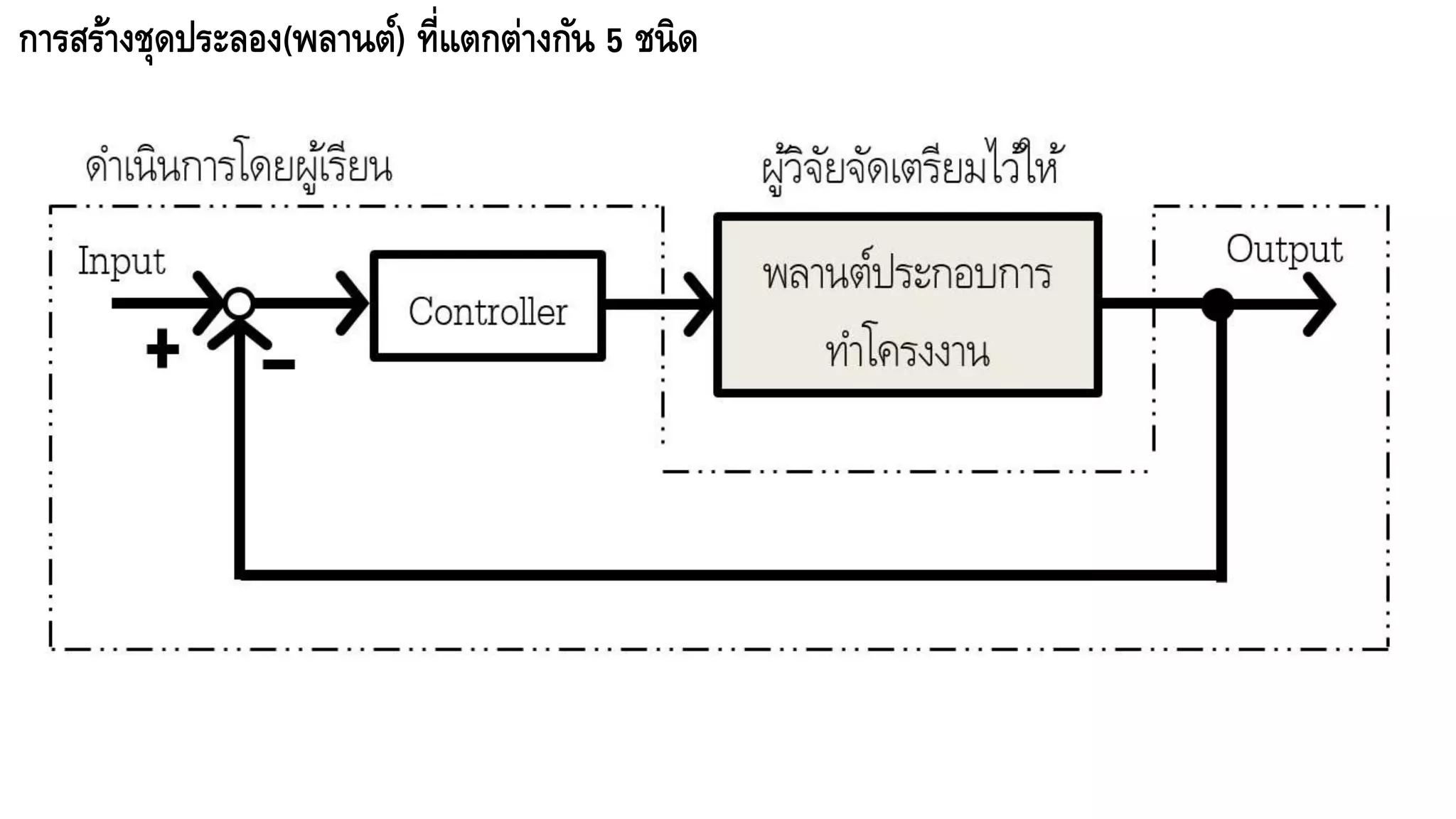 การสร้างชุดประลอง(พลานต์) ที่แตกต่างกัน 5 ชนิด
 