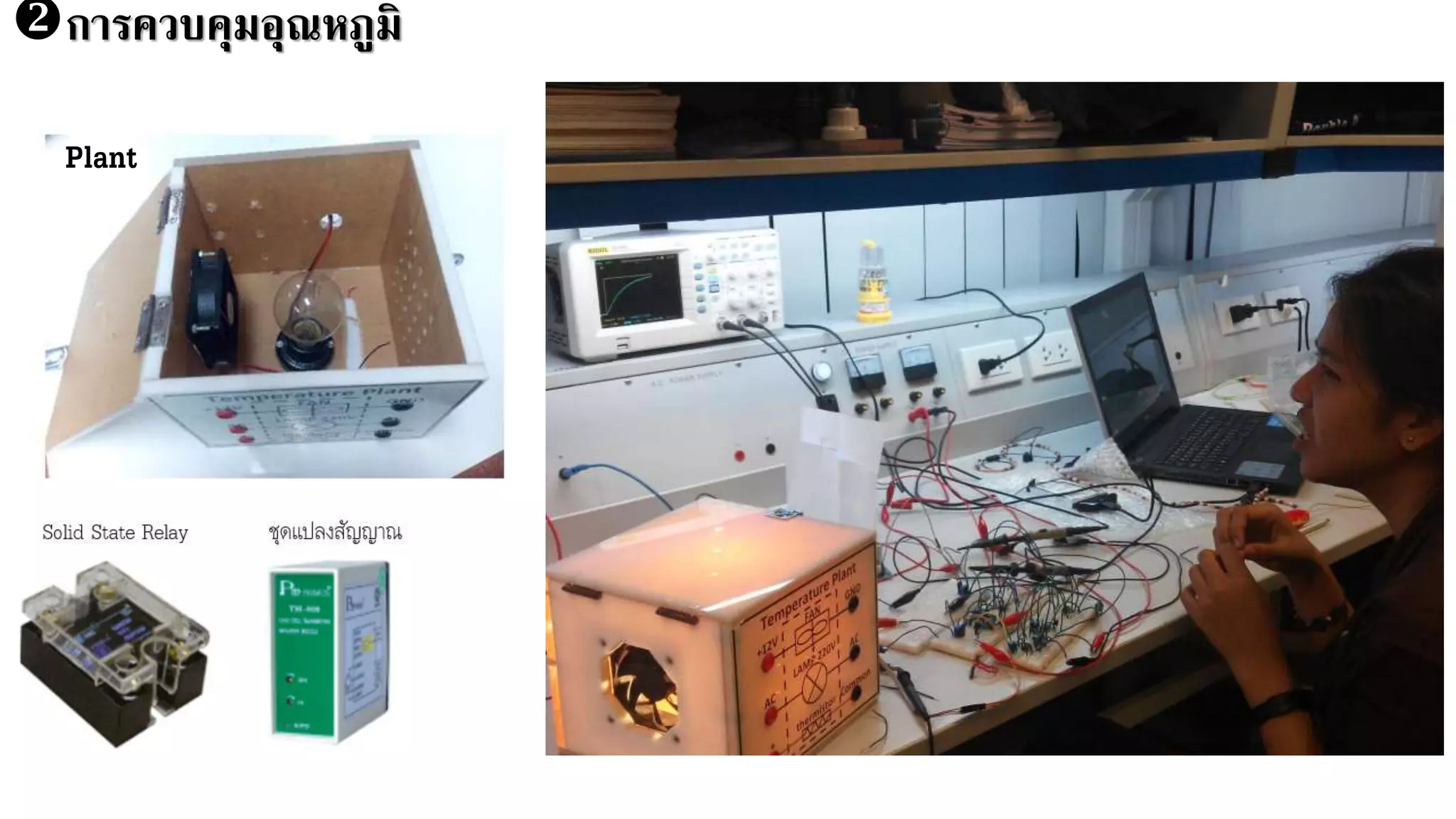 การควบคุมอุณหภูมิ
Plant
 