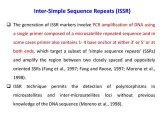 Inter-Simple Sequence Repeats (ISSR)
 The generation of ISSR markers involve PCR amplification of DNA using
a single primer composed of a microsatellite repeated sequence and in
some cases primer also contains 1- 4 base anchor at either 3′ or 5′ or at
both ends, which target a subset of ‘simple sequence repeats’ (SSRs)
and amplify the region between two closely spaced and oppositely
oriented SSRs (Fang et al., 1997; Fang and Roose, 1997; Moreno et al.,
1998).
 ISSR technique permits the detection of polymorphisms in
microsatellites and inter-microsatellites loci without previous
knowledge of the DNA sequence (Moreno et al., 1998).
 