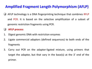 Amplified Fragment Length Polymorphism (AFLP)
 AFLP technology is a DNA fingerprinting technique that combines RFLP
and PCR. It is based on the selective amplification of a subset of
genomic restriction fragments using PCR.
 AFLP process
1. Digest genomic DNA with restriction enzymes
2. Ligate commercial adaptors (defined sequences) to both ends of the
fragments
3. Carry out PCR on the adaptor-ligated mixture, using primers that
target the adaptor, but that vary in the base(s) at the 3’ end of the
primer.
 