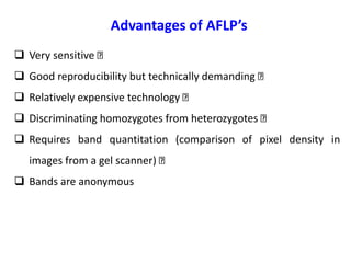 Advantages of AFLP’s
 Very sensitive
 Good reproducibility but technically demanding
 Relatively expensive technology
 Discriminating homozygotes from heterozygotes
 Requires band quantitation (comparison of pixel density in
images from a gel scanner)
 Bands are anonymous
 