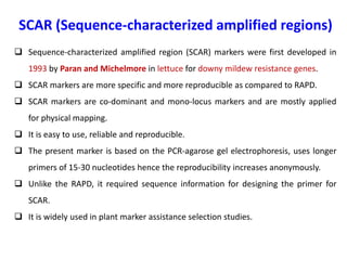 SCAR (Sequence-characterized amplified regions)
 Sequence-characterized amplified region (SCAR) markers were first developed in
1993 by Paran and Michelmore in lettuce for downy mildew resistance genes.
 SCAR markers are more specific and more reproducible as compared to RAPD.
 SCAR markers are co-dominant and mono-locus markers and are mostly applied
for physical mapping.
 It is easy to use, reliable and reproducible.
 The present marker is based on the PCR-agarose gel electrophoresis, uses longer
primers of 15-30 nucleotides hence the reproducibility increases anonymously.
 Unlike the RAPD, it required sequence information for designing the primer for
SCAR.
 It is widely used in plant marker assistance selection studies.
 