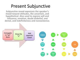 Present Subjunctive Subjunctive mood expresses the speaker’s mood toward attitudes, the uncertain, and hypothetical. Also used to express will and influence, emotion, doubt disbelief, and denial, and indefiniteness and nonexistence.  