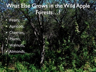 Pears, Apricots, Cherries, Plums, Walnuts, Almonds, 