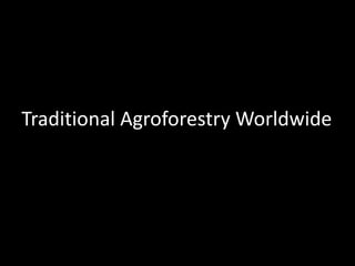 Traditional Agroforestry Worldwide 