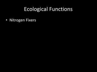 Ecological Functions Nitrogen Fixers Dynamic Accumulators Beneficial Insectaries Aromatic Pest Confusers Cross-Pollination Clusters Other Beneficial Wildlife Habitat Microclimate Contributors 