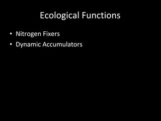 Ecological Functions Nitrogen Fixers Dynamic Accumulators Beneficial Insectaries Aromatic Pest Confusers Cross-Pollination Clusters Other Beneficial Wildlife Habitat Microclimate Contributors 