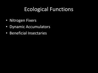 Ecological Functions Nitrogen Fixers Dynamic Accumulators Beneficial Insectaries Aromatic Pest Confusers Cross-Pollination Clusters Other Beneficial Wildlife Habitat Microclimate Contributors 