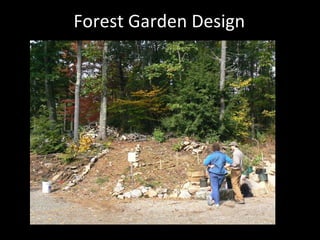 Forest Garden Design 