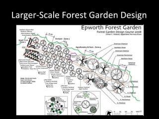 Larger-Scale Forest Garden Design 