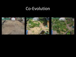 Co-Evolution 