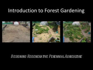 Introduction to Forest Gardening ,[object Object]