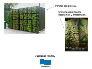 Fachadas verdes.
Paneles con plantas.
Grandes posibilidades
decorativas y ambientales.
 
