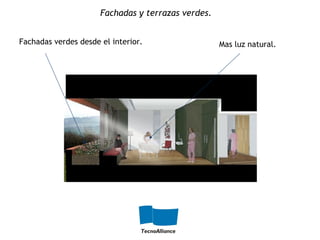 Mas luz natural.Fachadas verdes desde el interior.
Fachadas y terrazas verdes.
 